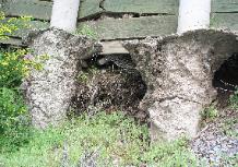 Cracking & Failure of Concrete Piers & Wood Lagging