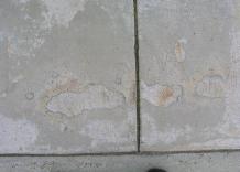 Defective Concrete Sidewalk ( Building Technology Investigations)
