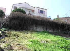 Hillside Building, Distressed Concrete Retaining Wall