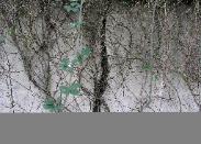 Large Cracks in Concrete Retaining Wall