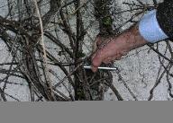 Excessive Crack Opening in Concrete Retaining Wall